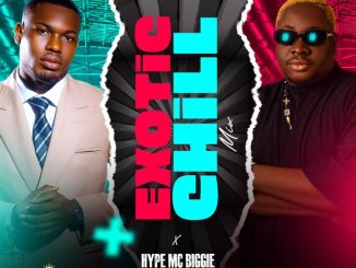 DJ Fresh & Hype MC Biggie – Exotic Chill Mix