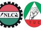 NLC
