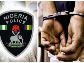 Police Bust Warehouse Theft Syndicate In Bauchi