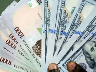 Nigeria Needs More Borrowing – Finance Minister Edun