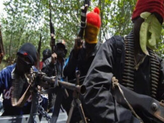 Terrorists Storm Community, Kill 13 Vigilantes