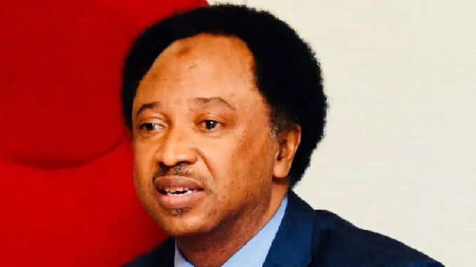 Share 753 Godwin Emefiele houses to universities, others – Shehu Sani to Nigerian govt