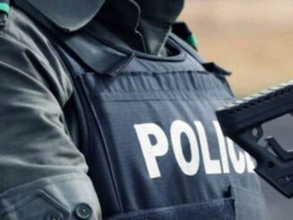 Nigeria Police Arrest 239 Suspects for Kidnapping