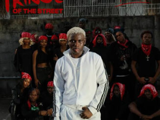 Ayo Maff ft. Seyi Vibez – Gang
