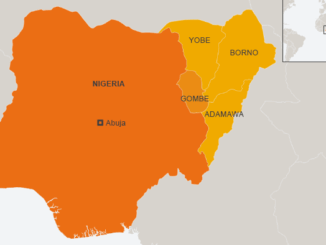 Yobe State Media News