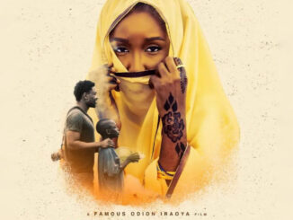 Finding Nina 2025 Nollywood Movie