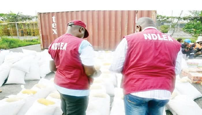 NDLEA Arrests 44-Year-Old Drug Trafficker, Seizes 457kg of Cannabis in Edo State