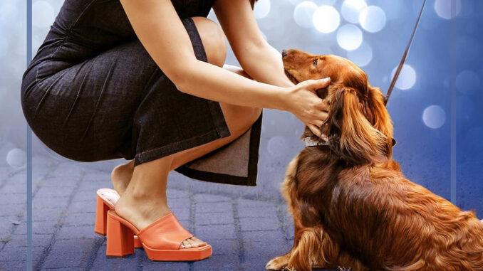 Paws in the City 2025 romantic comedy Hollywood movie