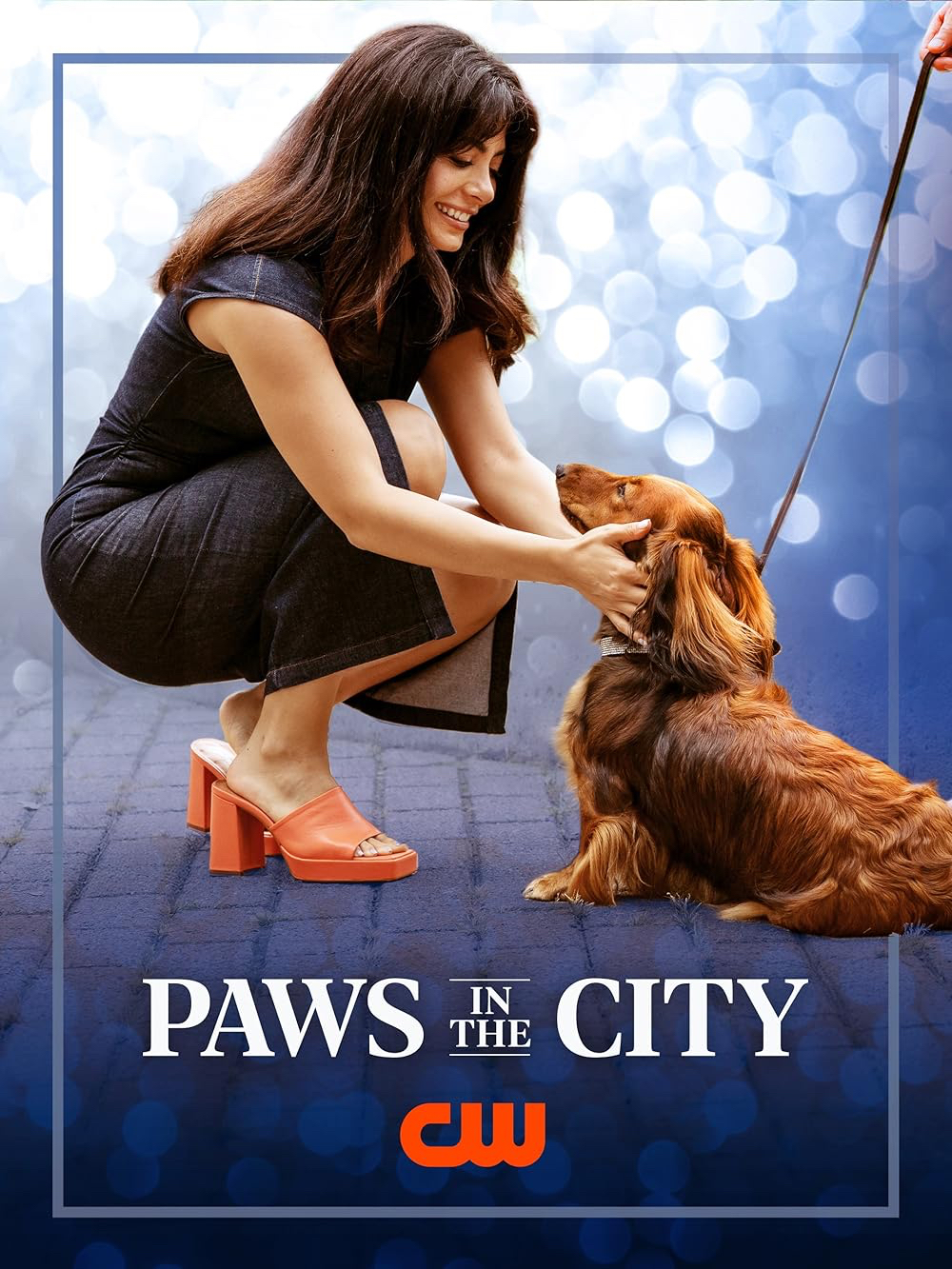 Paws in the City (2025) | Hollywood Movie