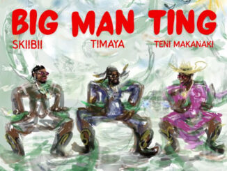 Big Man Ting by Timaya featuring Teni and Skiibii