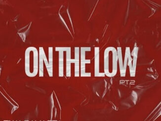 Tiwa Savage Skepta Ironix On The Low Pt 2 Remix cover